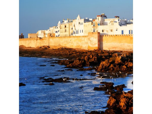 Full-Day Tour to Essaouira - The Ancient Mogador City from Marrakech