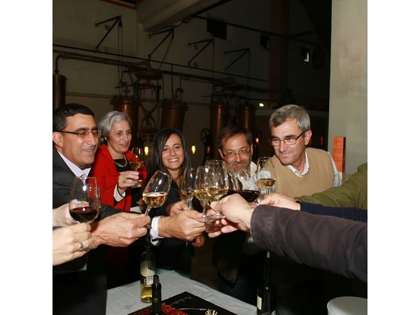 Setubal Winery Private Tour including Lunch at Sesimbra Beach