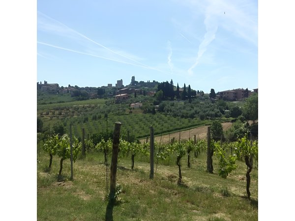 San Gimignano, Saffron and Vernaccia Wine from Florence