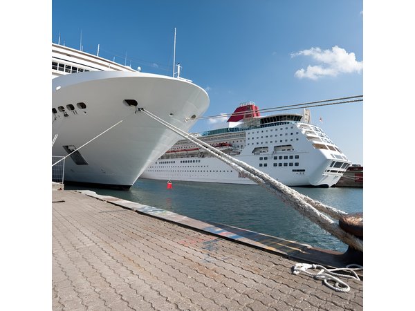 Rome Shore Excursion: Pre-Cruise Private Sightseeing Tour Including Civitavecchia Port Drop-Off