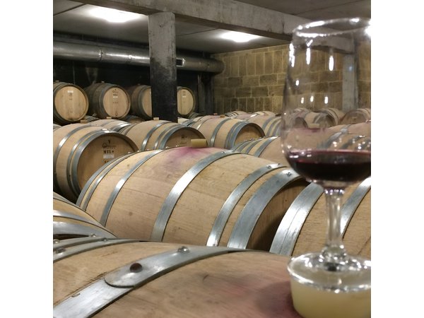 Cotes du Rhone Wine Tour (9:00 am to 5:15 pm) - Small Group Tour from Lyon