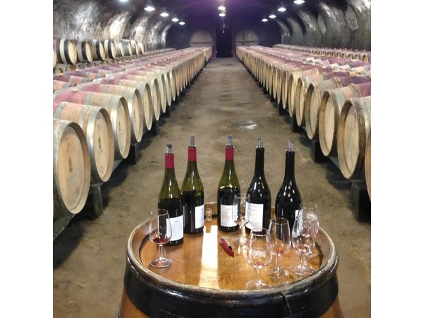 Beaujolais Crus Wines & Castles (2:00 pm - 6:30 pm) - Small Group Tour from Lyon