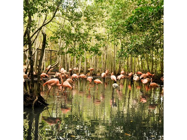 National Aviary private from Cartagena