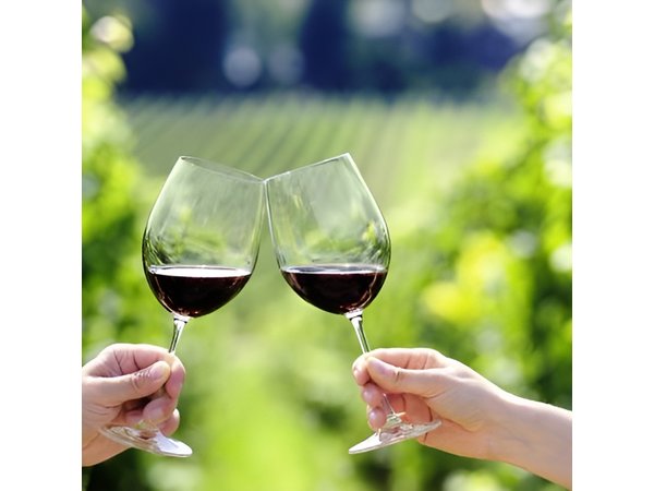 Peljesac Peninsula Day Trip from Dubrovnik: Wine Tasting and Ston Village Tour