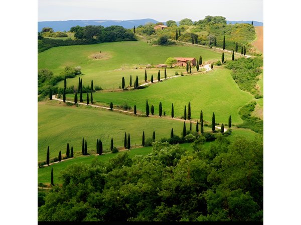Private Siena and San Gimignano Tour with Wine Tasting From Rome