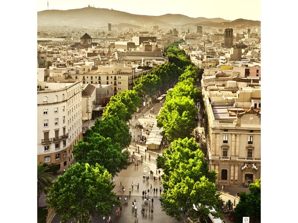 Barcelona Half-Day Sightseeing Private Tour