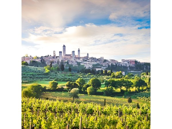 The Best of Tuscany: Private Full Day Tour From Florence