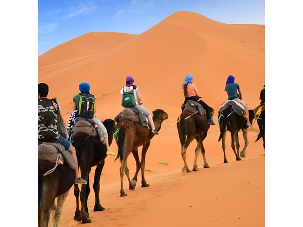 Luxury Private 4-Day Camel Trekking and Kasbah Trail from Marrakech