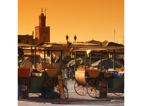Full-Day Private Tour to Marrakech from Casablanca