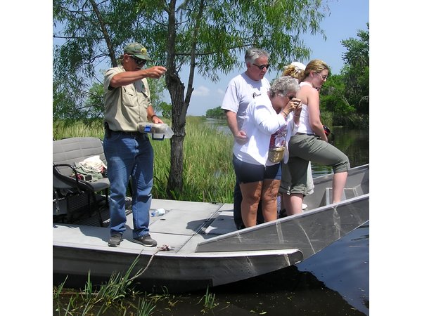 Airboat Swamp and Destrehan Plantation Tour from New Orleans