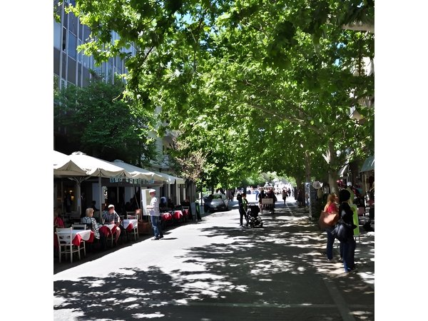 Athens Private 5 hours Walking Tour
