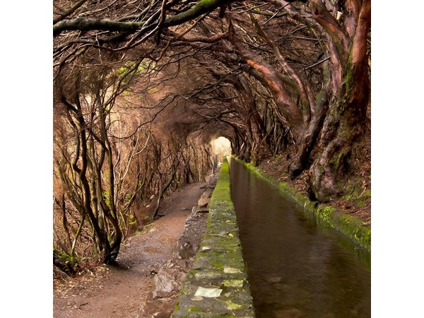 Full-Day Rabaçal Levada Walk from Funchal