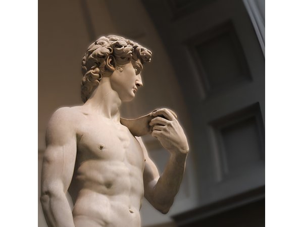 Private All-inclusive Heart of Florence Walking Tour with Accademia and Uffizi
