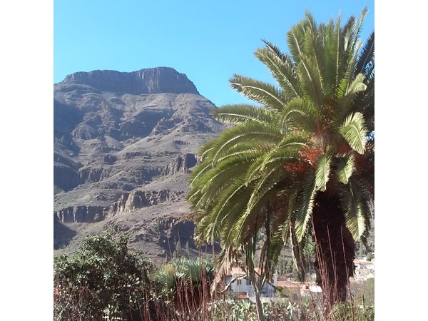 Full Day Across the Island Tour from Las Palmas