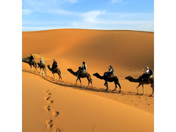 2 Days Zagora Desert Tour from Marrakech, Including Camel Trek and Desert Camp