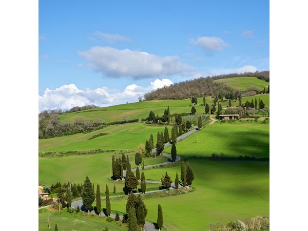 Private Tuscany Wine Experience from Rome: Montepulciano & Pienza