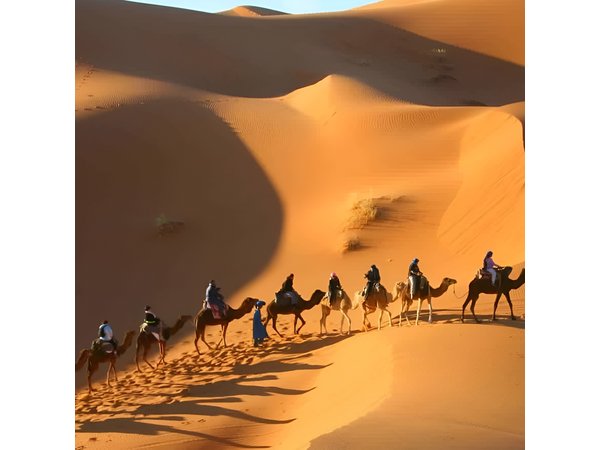 2 Day Desert Tour From Marrakech through the Atlas Mountains & Camel ride