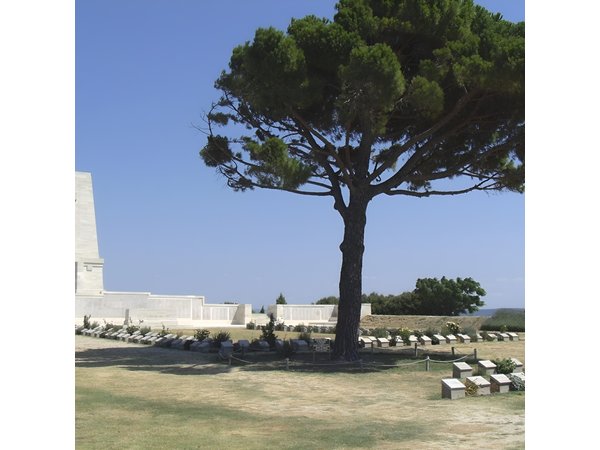 Small-Group Full Day Gallipoli & ANZAC Battlefields from Istanbul