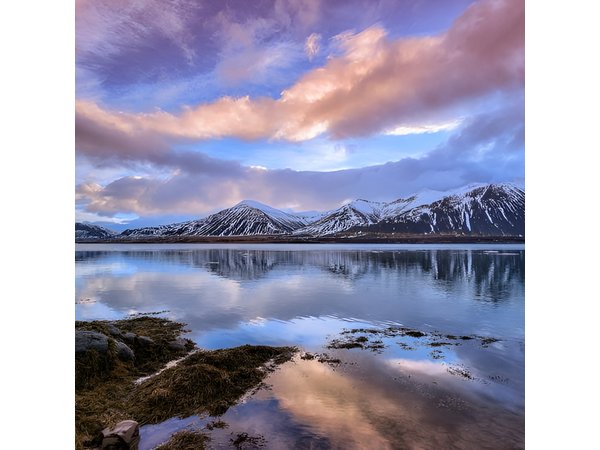 8-Days Guided Iceland Circle Tour from Reykjavík