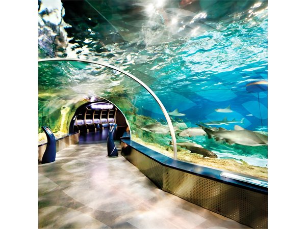 Istanbul Aquarium and Aqua Florya Independent Shopping Trip