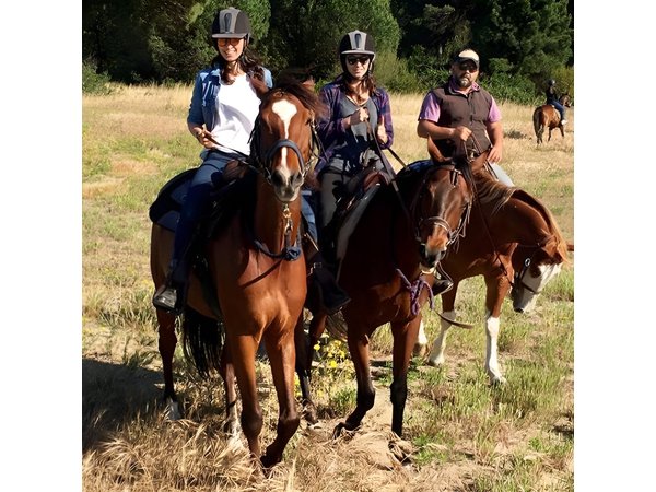 Rome : Horseback Riding with meals and wine included