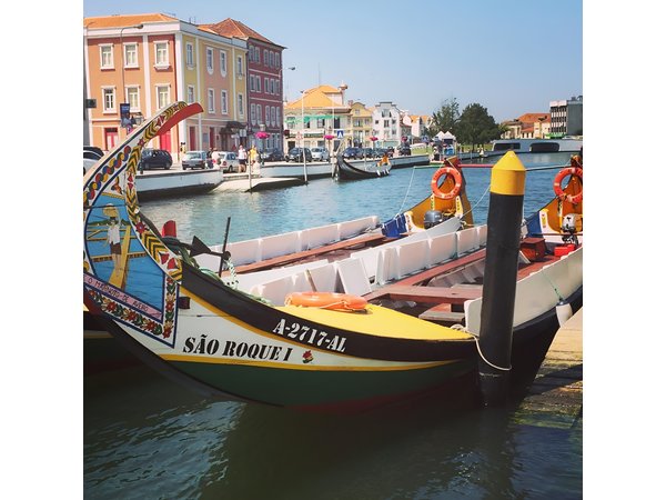 Private Cultural Tour Aveiro and Coimbra from Porto