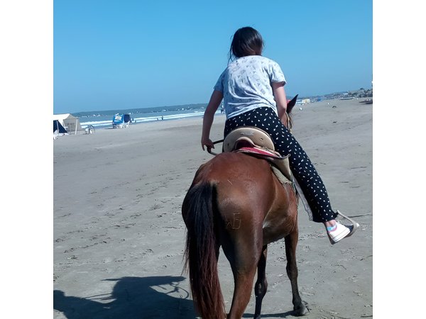 Horse Riding in Cartagena