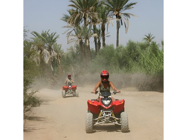 Marrakech Quad Bike ATV on the Palm Groves