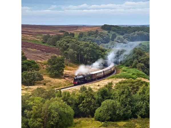 Moors, Whitby & The Yorkshire Steam Railway Day Trip from York