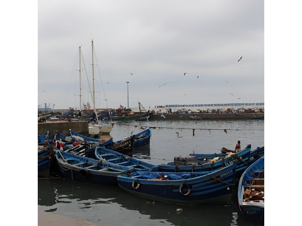 Private Day trip from Marrakech to Essaouira