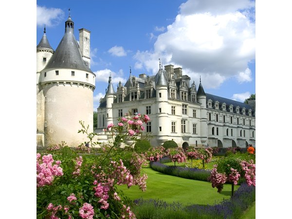 Loire Valley Castles Private Day Trip from Paris