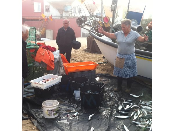 Private Fish Experience with Market-to-table lunch from Porto