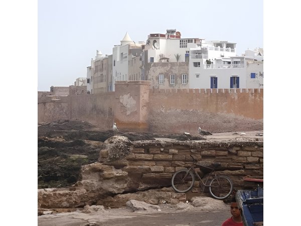 Private Day trip from Marrakech to Essaouira mogador