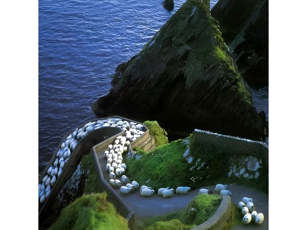 Dingle Peninsula Tour from Killarney: Including Wild Atlantic Way