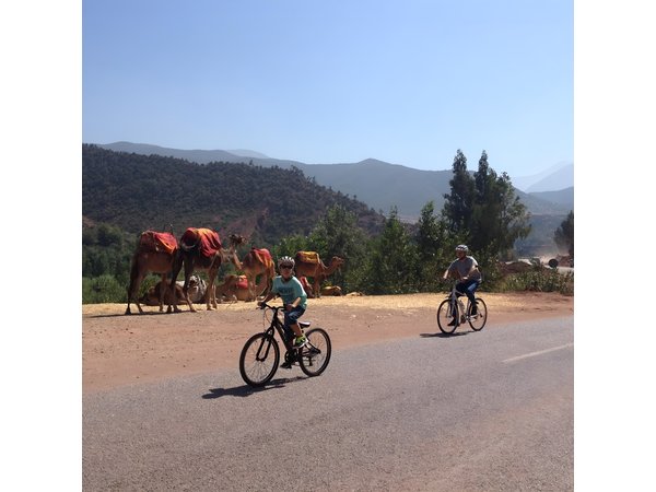 Beginners On-Road Bike Tour of the Atlas Mountains from Marrakech
