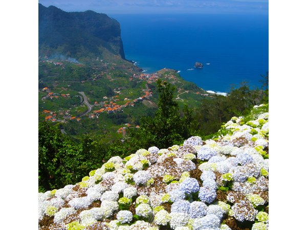 Referta Castelejo Levada Walk from Funchal