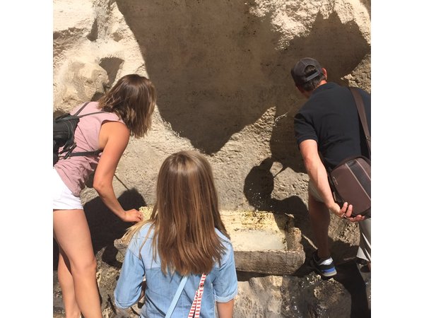 Sightseeing Walking Tour of Rome By Night: Trevi Fountain & Other Highlights
