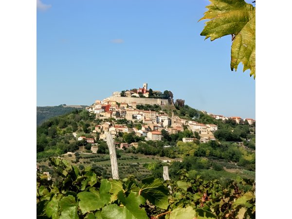 From Pula or Medulin: Istria in one day tour