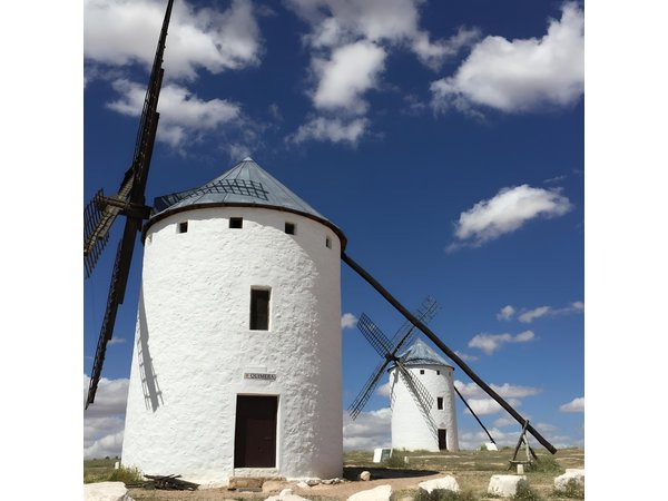 Toledo, Windmills, Winery Small Group Tour with Lunch from Madrid