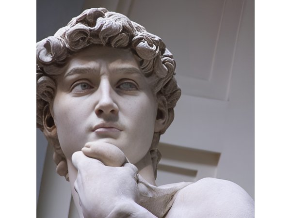 3 hours: Private walking tour of Florence and Accademia Gallery guided visit