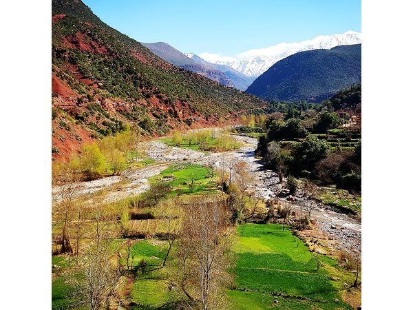 Half-Day Atlas Mountains Tour From Marrakech
