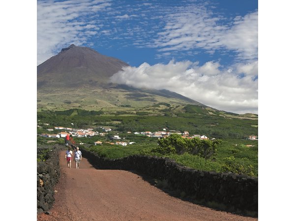 Full-Day Pico Island Tour from Horta