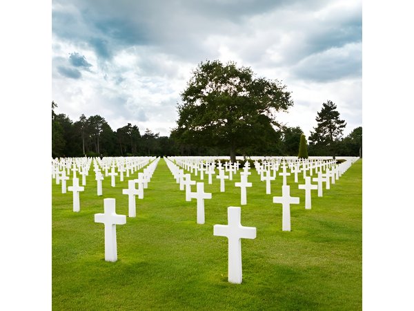 Normandy D Day Landing Customized Private Tour from Paris