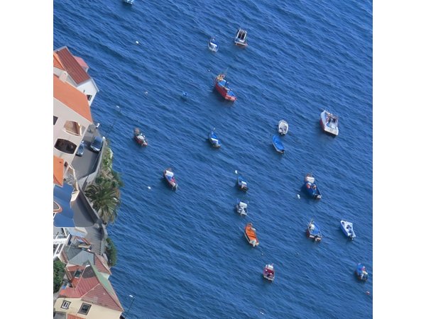 Private Half-Day Morning 4x4 Tour from Funchal
