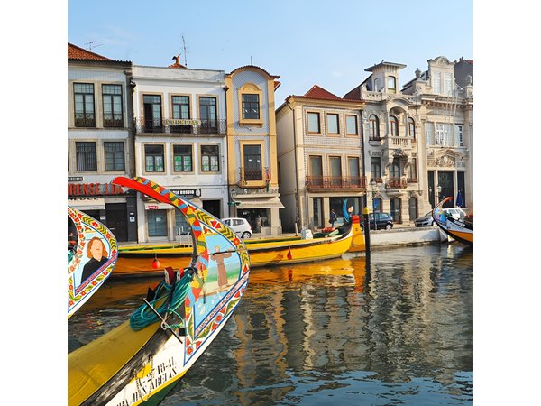 Lisbon to Porto Up To 5 Stops Óbidos Nazaré Fátima Coimbra Aveiro