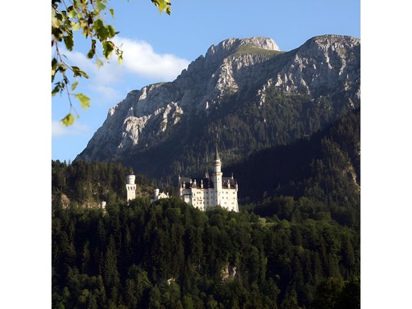 Half Day Tour Private from Munich to Neuschwanstein Castle