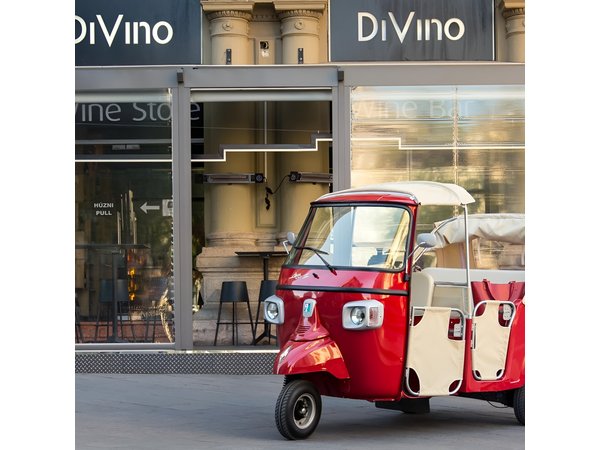 Budapest Private Tuk Tuk Tour with Wine Tasting and Cheese Platter