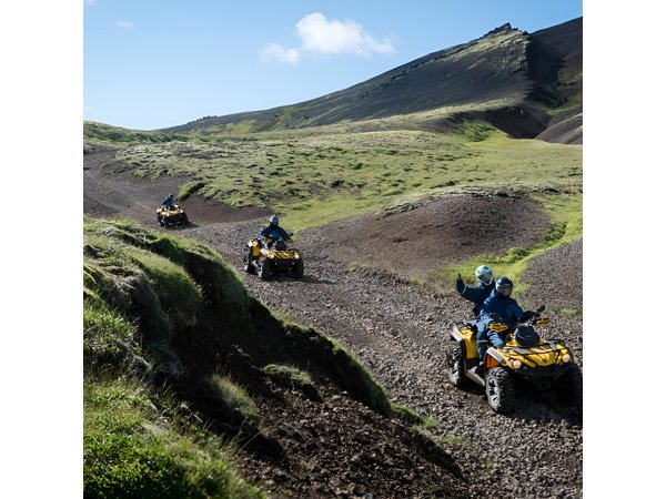 Reykjavik ATV & Whale Watching Full-Day Adventure