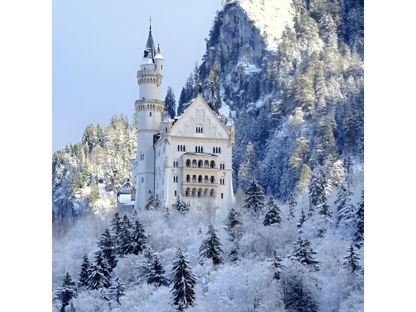 Neuschwanstein Castle incl. Munich Xmas Market walking tour