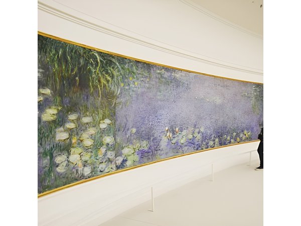 Private Orangerie Museum 2-Hour Guided Tour in Paris